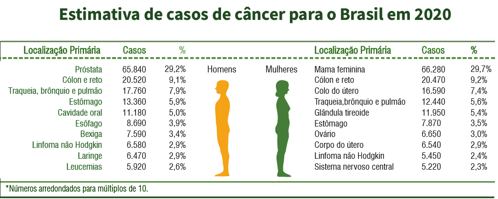 Tabela com estimativa de casos de câncer para o Brasil em 2020