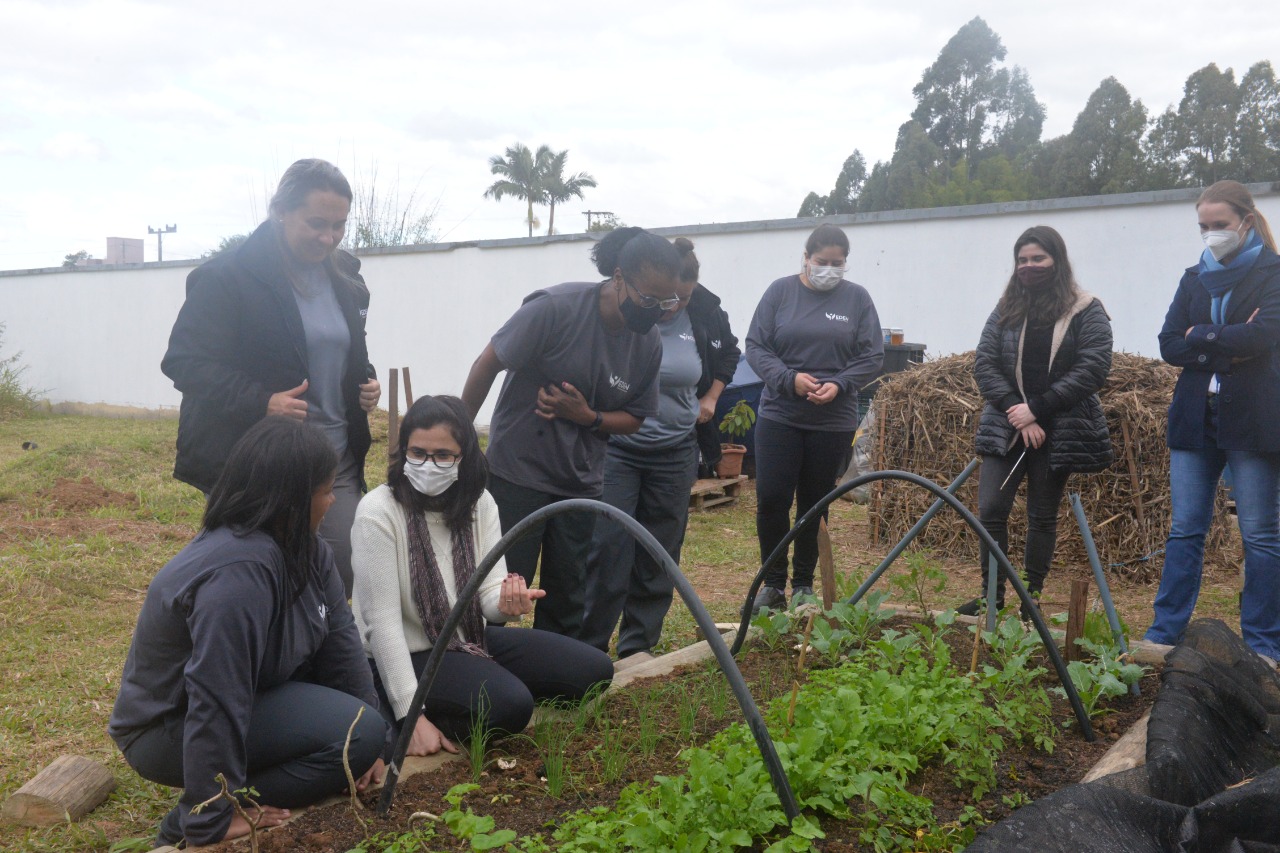 Ideia é que horta e composteira sirvam de instrumento de aprendizagem para escolas da região | Foto: Thaís Borhes/IFSC