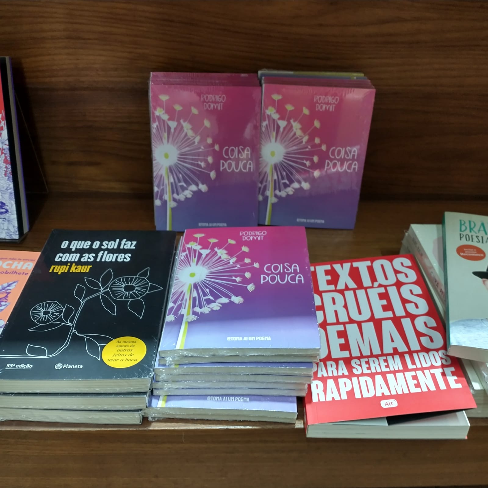 Lançamento ocorreu na Bienal Internacional do Livro em Jaraguá do Sul.