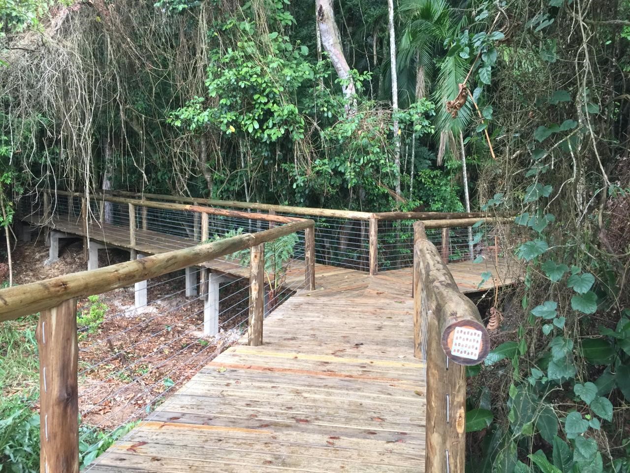 Novo deck da trilha ecológica no Câmpus Jaraguá do Sul-Rau