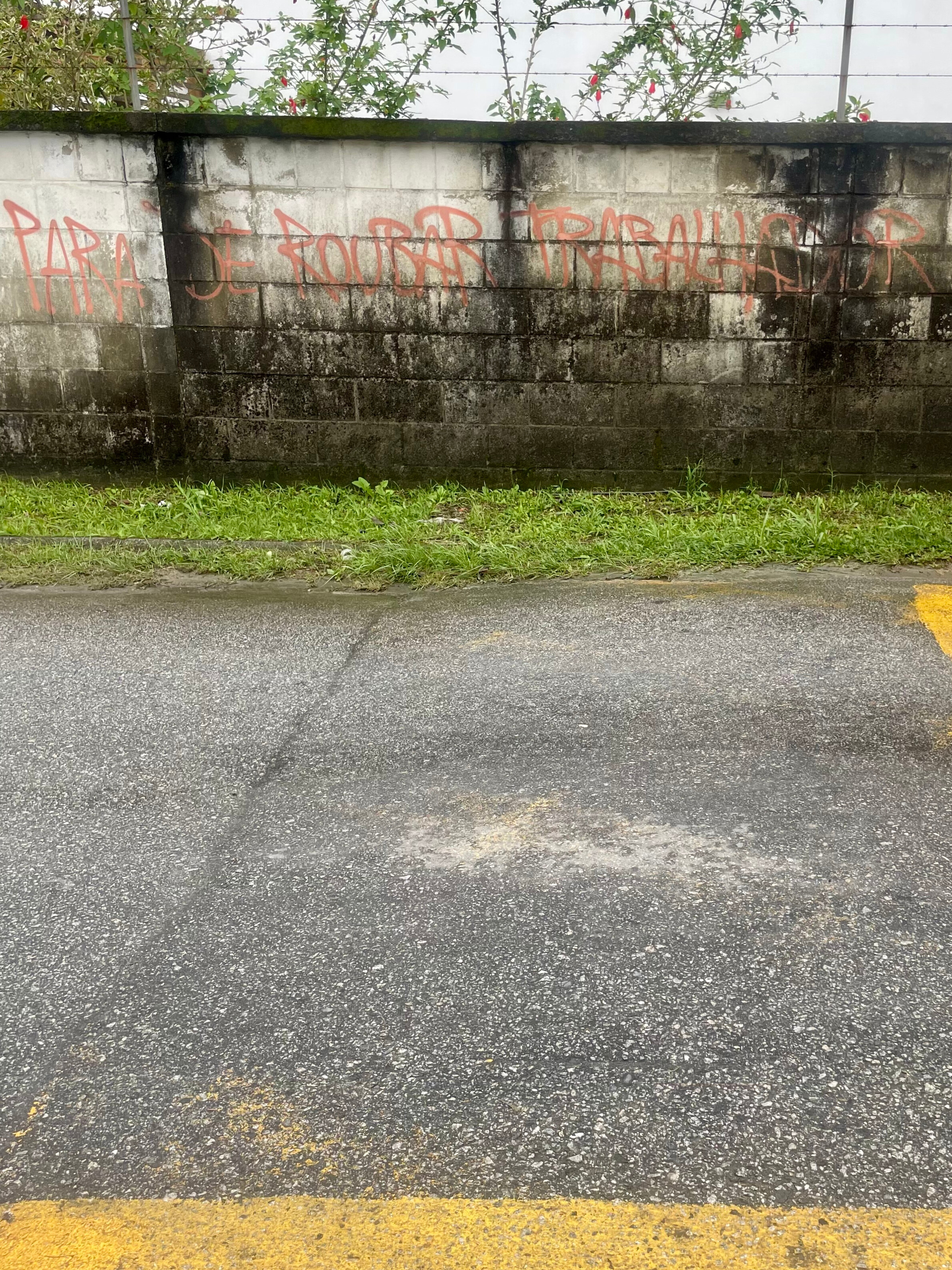 Conexão Realidade, de Adriana Dias Pasco