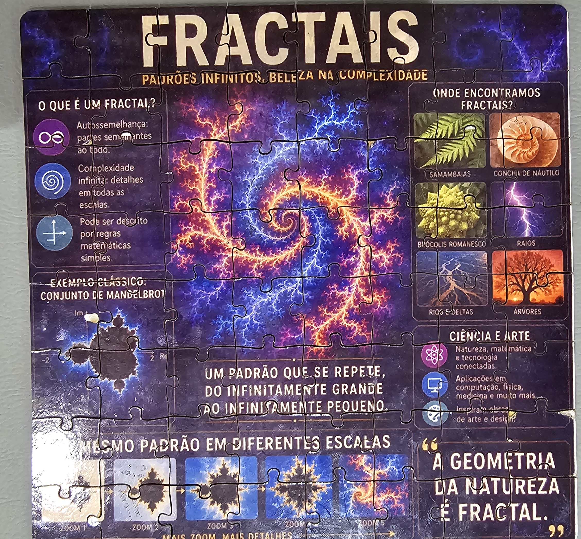 Materiais como quebra-cabeças com temas científicos podem usados em atividades de ensino (Foto: Felipe Silva)